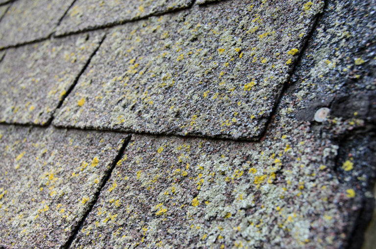 signs of needed roof repairs asphalt shingles and replacement